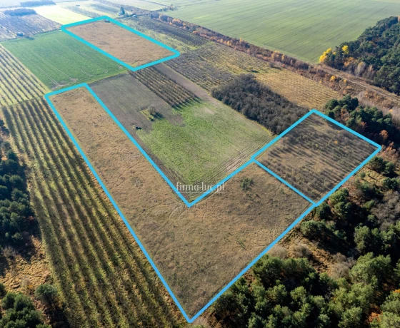 Skwierzyna, Międzyrzecka - 1626000 zł (nr 1279/2562/OGS)