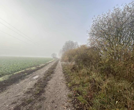 Działka na sprzedaż, Ulim - 1 580 000 zł