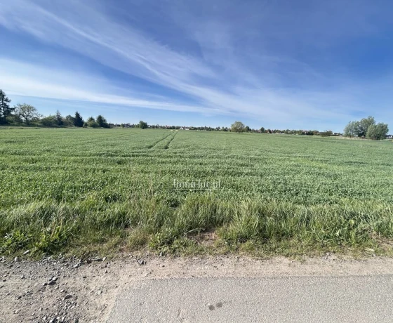 Gorzów Wielkopolski, Siedlice, Skrajna - 299000 zł (nr 1288/2562/OGS)