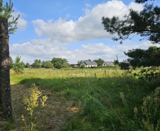 Łośno, Wrzosowa - 84000 zł (nr 1318/2562/OGS)