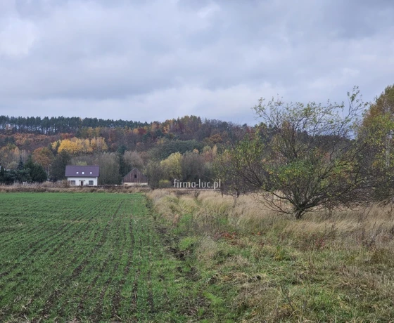 Działka na sprzedaż, Wieprzyce - 35 000 zł