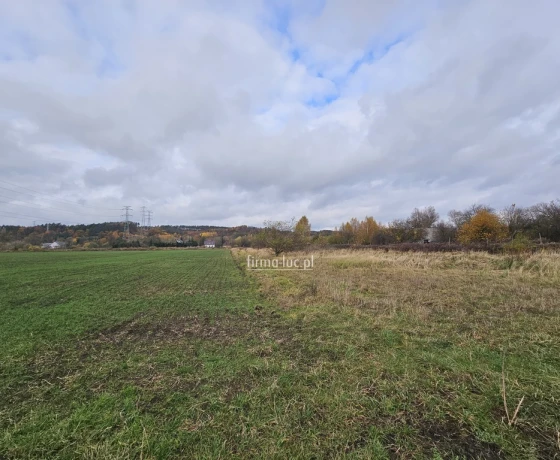 Wieprzyce - 35000 zł (nr 1325/2562/OGS)