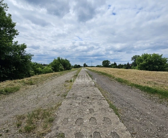 Gorzów Wielkopolski, Winna - 590000 zł (nr 1035/2562/ODS)