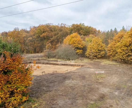 Bogdaniec, Różana - 233000 zł (nr 1332/2562/OGS)