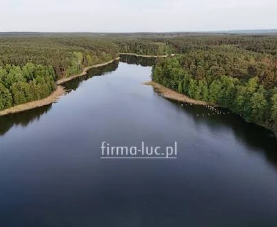 Sosny - 169000 zł (nr 1333/2562/OGS)
