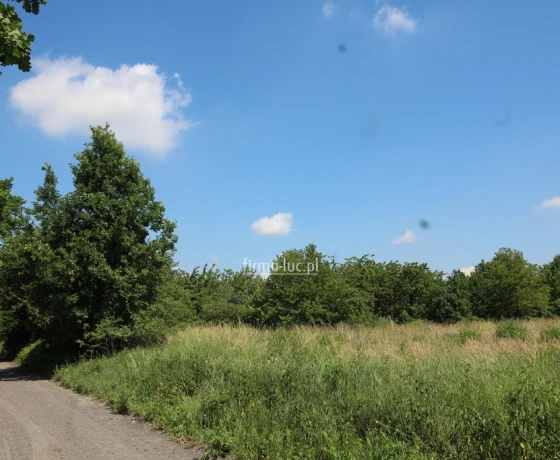 Gorzów Wielkopolski, Chróścik, Zbożowa - 100275 zł (nr 1337/2562/OGS)