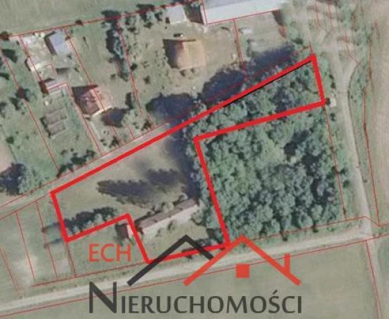 Wysoka - 290000 zł (nr 17/3129/OOS)