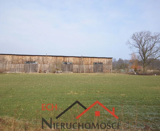 Wysoka - 550000 zł (nr 74/3129/OGS)