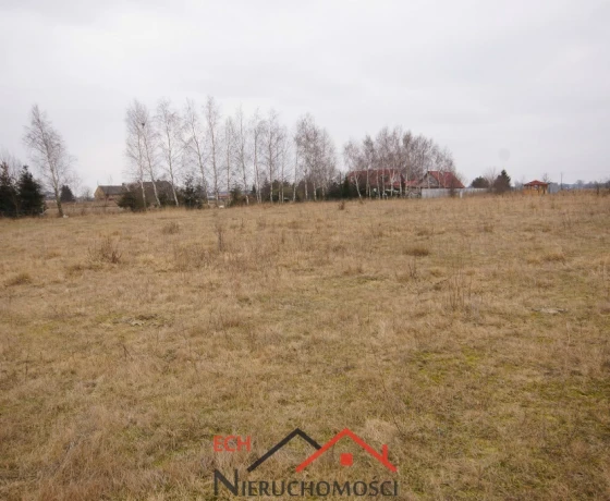 Sulęcin - 60000 zł (nr 167/3129/OGS)