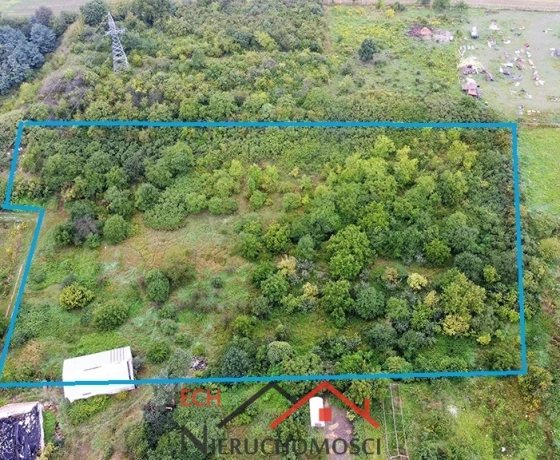 Gorzów Wielkopolski, Górczyn - 890000 zł (nr 195/3129/OGS)