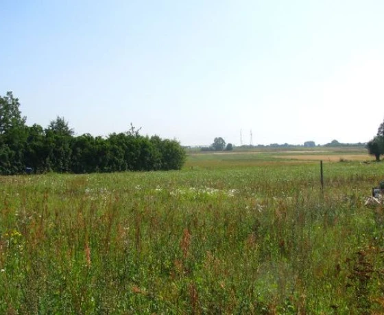 Działka na sprzedaż, Baczyna - 95 000 zł