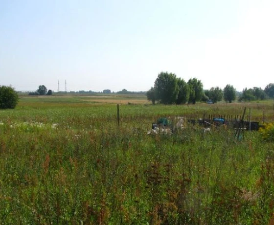 Baczyna - 95000 zł (nr 12/2625/OGS)