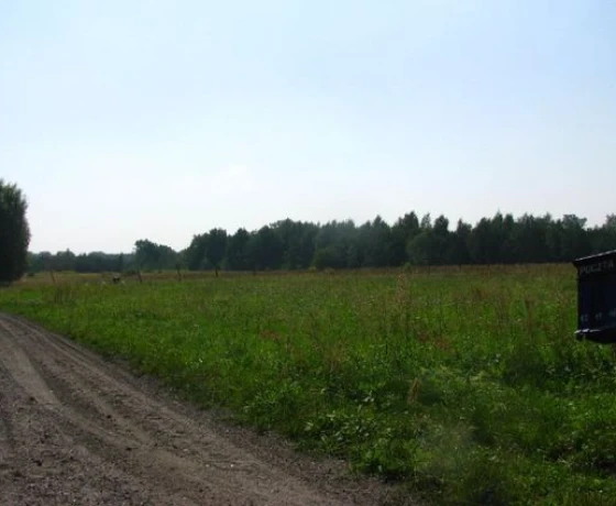 Baczyna - 95000 zł (nr 12/2625/OGS)