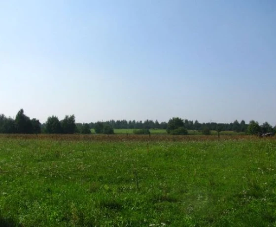 Baczyna - 95000 zł (nr 12/2625/OGS)