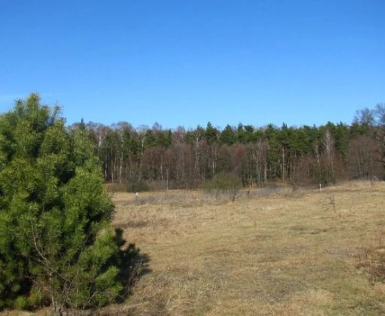 Różanki - 170000 zł (nr 16/2625/OGS)