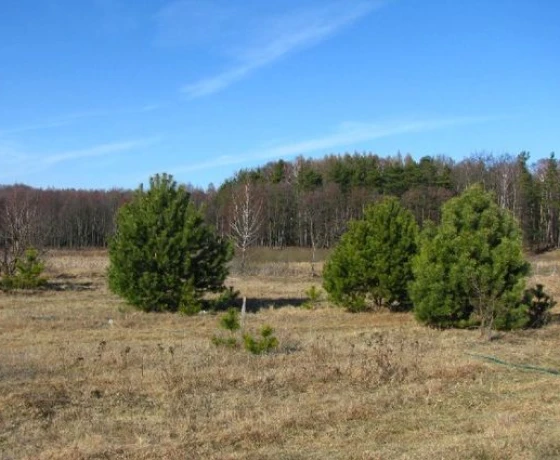 Różanki - 170000 zł (nr 16/2625/OGS)