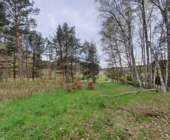 Działka na sprzedaż, Wełmin - 204 000 zł