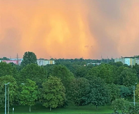 Gorzów Wielkopolski, Górczyn - 359000 zł (nr 517/2625/OMS)