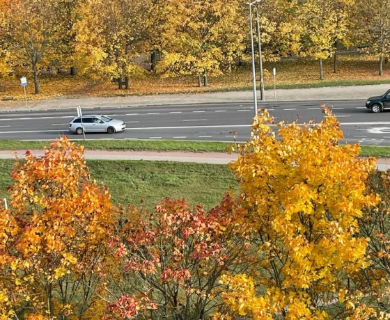 Gorzów Wielkopolski, Górczyn - 359000 zł (nr 517/2625/OMS)