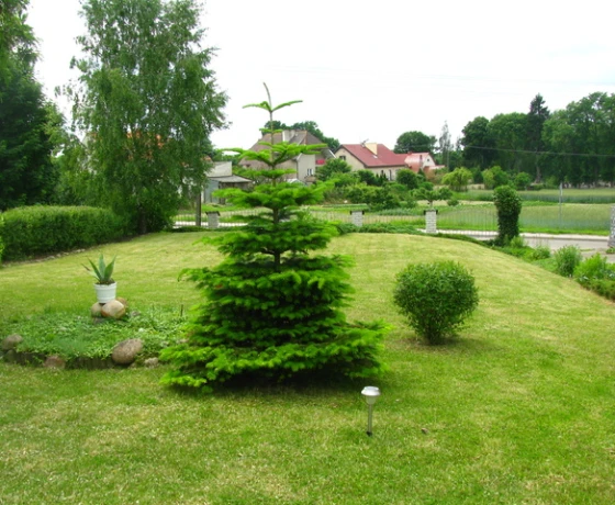 Pełczyce, Pełczyk - 985000 zł (nr 115/2625/ODS)