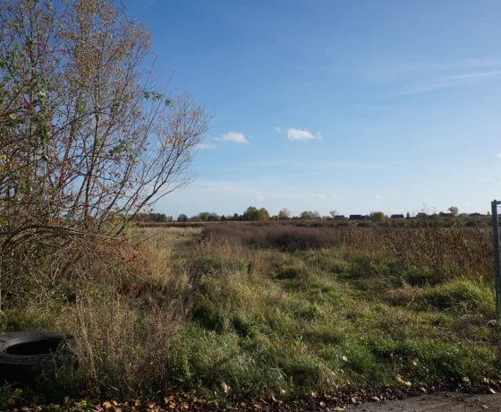 Gorzów Wielkopolski, Zawarcie - 1240000 zł (nr 65/2625/OGS)