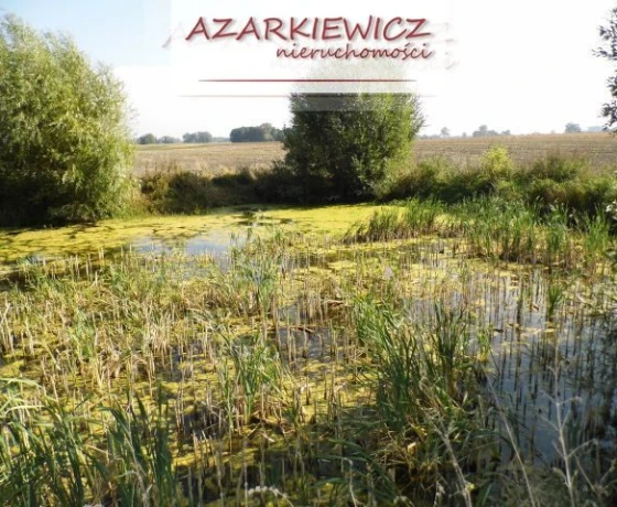 Myślibórz - 257500 zł (nr 24/3120/ODS)