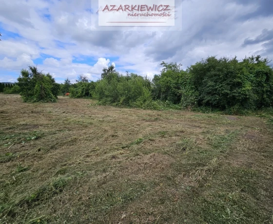 Binowo - 300000 zł (nr 161/3120/OGS)