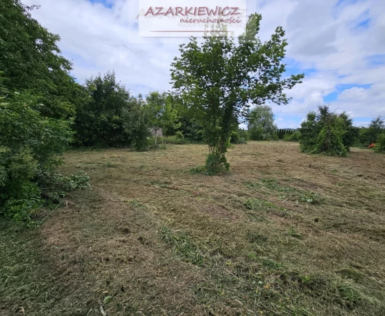 Binowo - 300000 zł (nr 161/3120/OGS)
