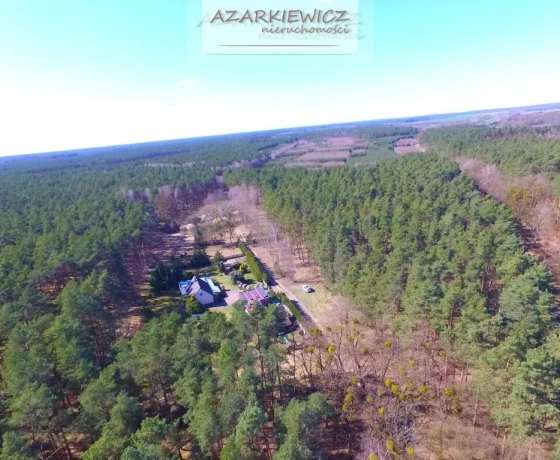 Borówno - 890000 zł (nr 120/3120/ODS)