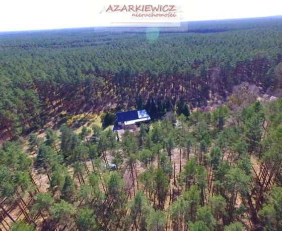 Borówno - 890000 zł (nr 120/3120/ODS)