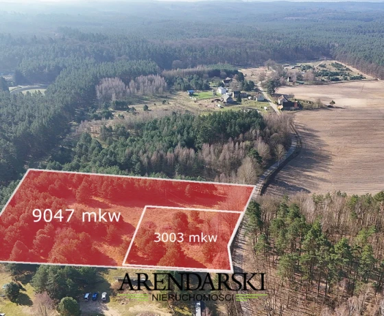 Nowe Dzieduszyce - 329000 zł (nr 252/2055/OGS)
