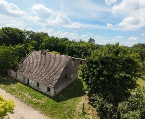 Jarząbki - 260000 zł (nr 95/1459/ODS)
