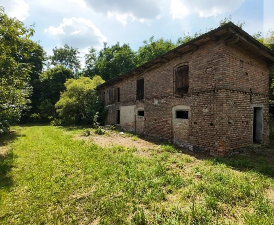 Jarząbki - 260000 zł (nr 95/1459/ODS)