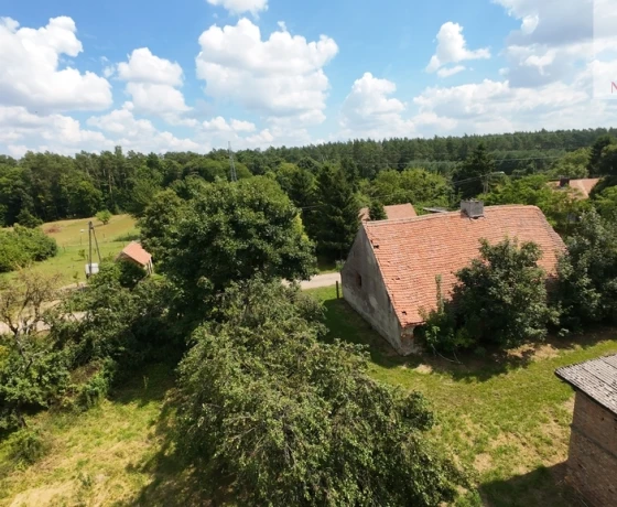 Jarząbki - 260000 zł (nr 95/1459/ODS)