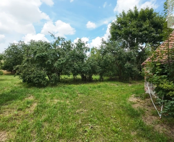 Jarząbki - 260000 zł (nr 95/1459/ODS)