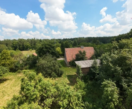 Jarząbki - 260000 zł (nr 95/1459/ODS)