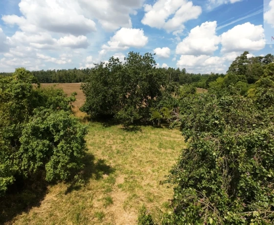 Jarząbki - 260000 zł (nr 95/1459/ODS)