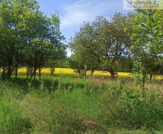 Jarząbki - 260000 zł (nr 95/1459/ODS)