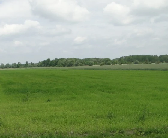 Działka na sprzedaż, Ulim - 299 000 zł