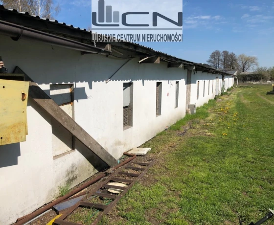 Bogdaniec - 3000 zł (nr 80/710/OOW)