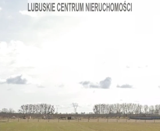 Działka na sprzedaż, Kłodawa - 350 000 zł