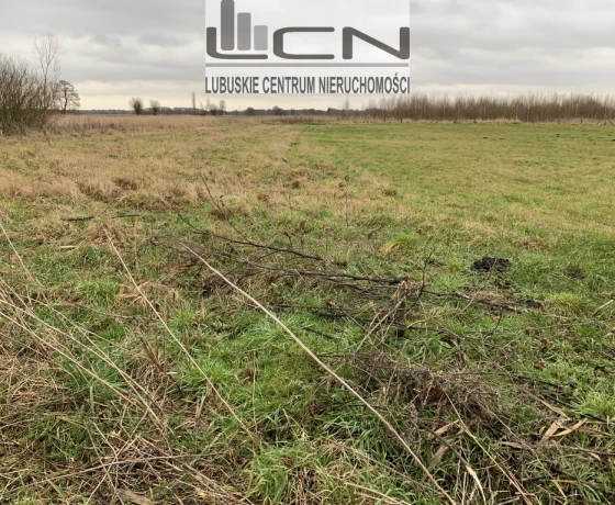 Działka na sprzedaż, Łagodzin - 430 000 zł