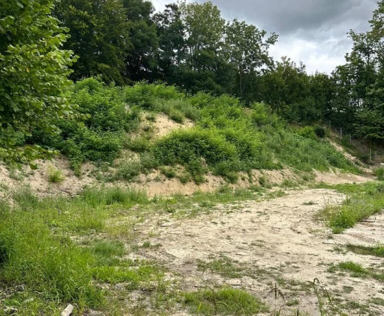 Gorzów Wielkopolski, Śródmieście - 355000 zł (nr 268/710/OGS)