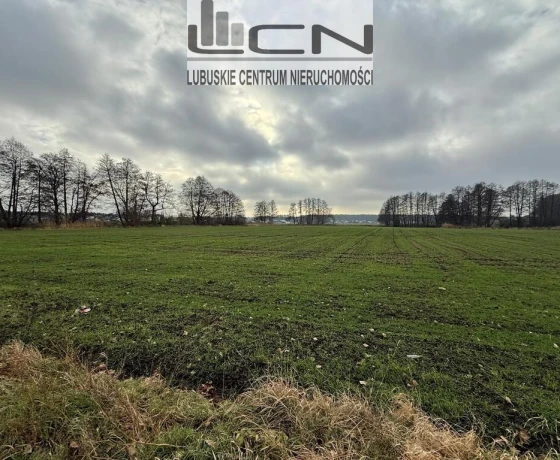 Gorzów Wielkopolski, Zieleniec - 158000 zł (nr 271/710/OGS)