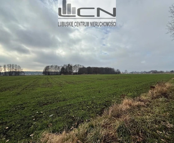 Gorzów Wielkopolski, Zieleniec - 158000 zł (nr 271/710/OGS)