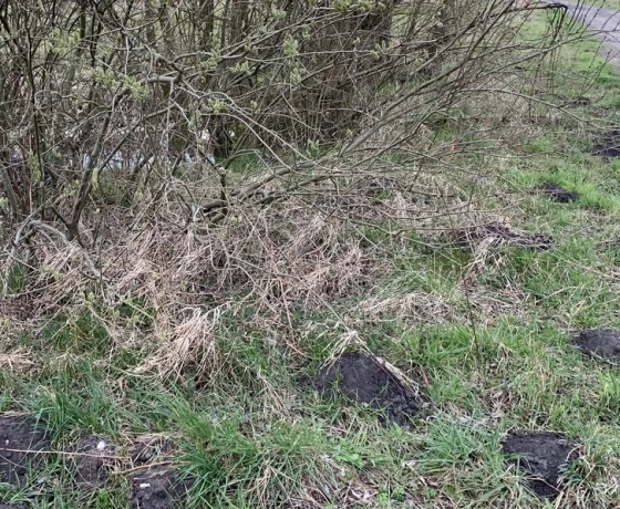 Działka na sprzedaż, Łagodzin - 63 000 zł