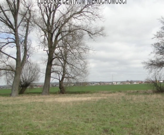 Działka na sprzedaż, Gorzów Wielkopolski, Zakanale - 299 000 zł