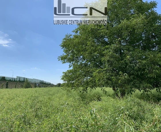 Działka na sprzedaż, Gorzów Wielkopolski, Zakanale - 115 000 zł