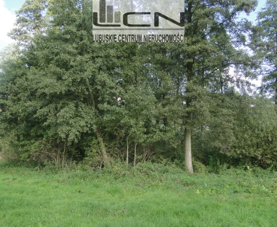 Gralewo - 59000 zł (nr 122/710/OGS)