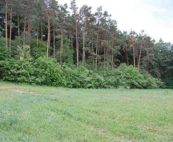 Działka na sprzedaż, Stanowice - 941 300 zł
